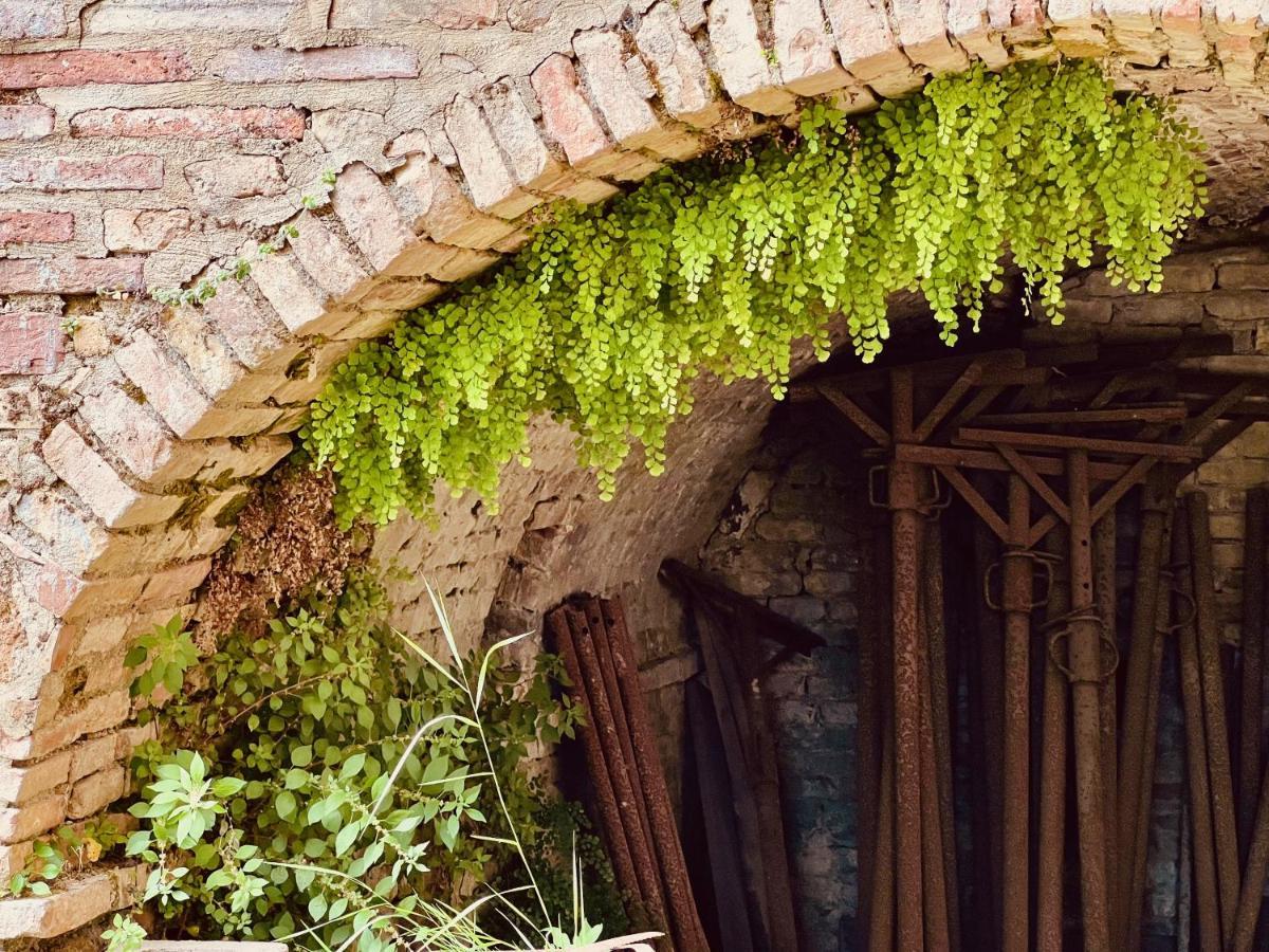 Ferienwohnung Le Fonti Di San Gimignano Exterior foto