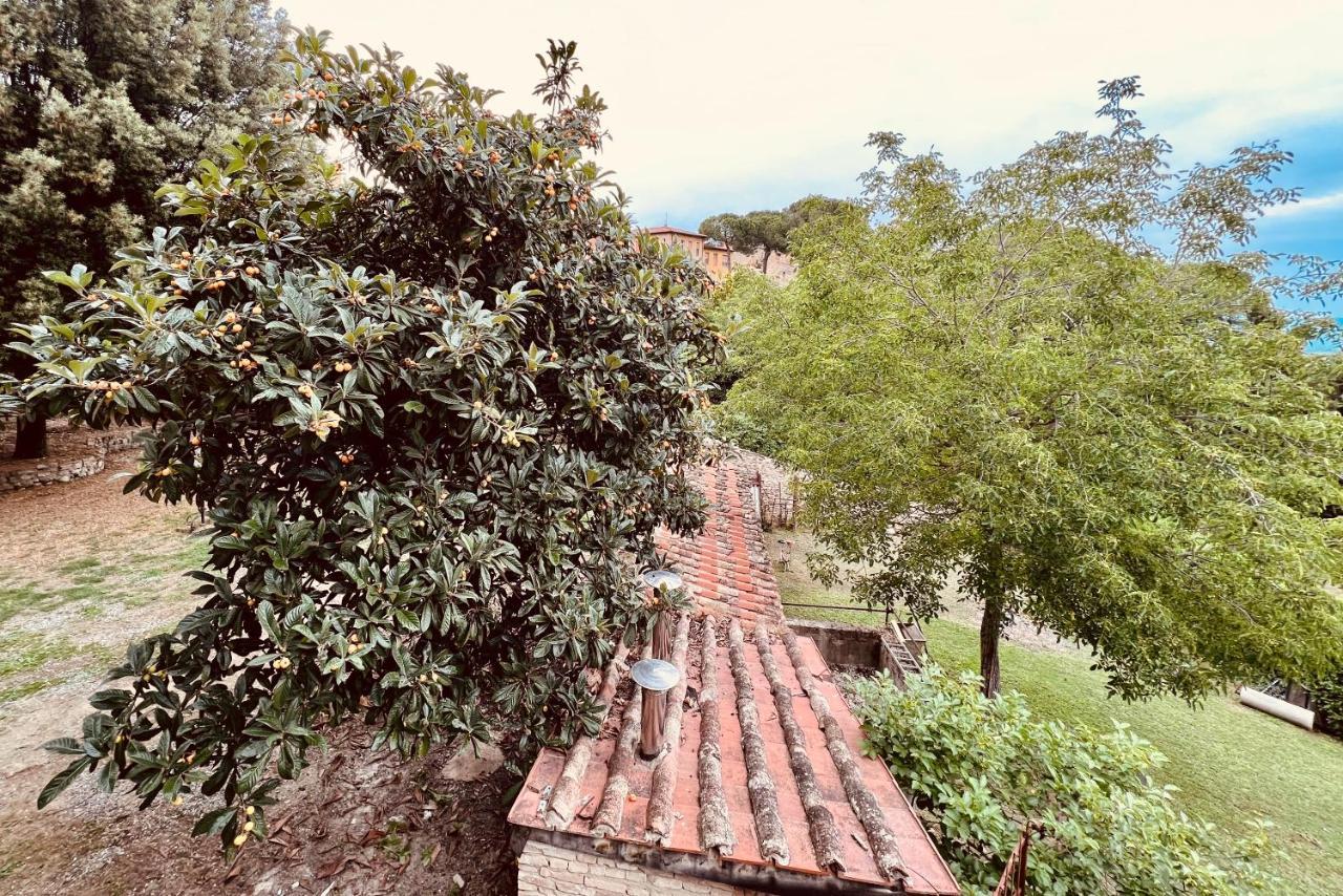 Ferienwohnung Le Fonti Di San Gimignano Exterior foto